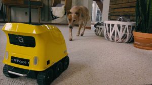 Anthouse Pet Companion Robot